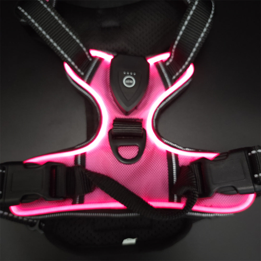 Chaleco LED Ajustable para Mascotas – Alta Visibilidad para Paseos Nocturnos