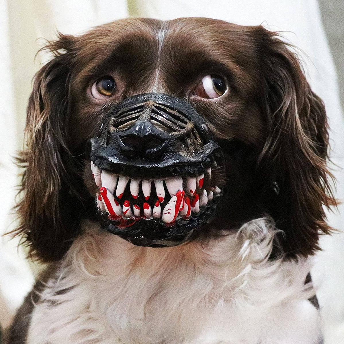 Máscara de Dinosaurio para Perro – Disfraz de Halloween