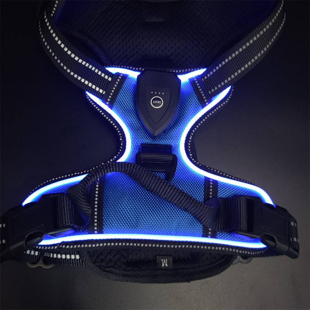Chaleco LED Ajustable para Mascotas – Alta Visibilidad para Paseos Nocturnos