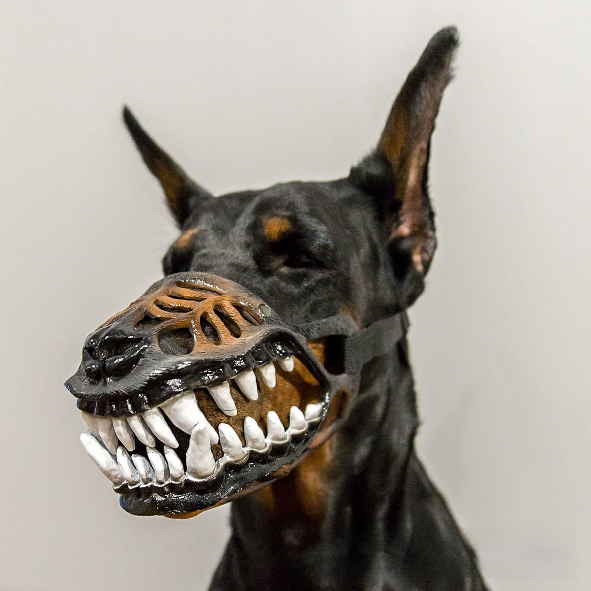 Máscara de Dinosaurio para Perro – Disfraz de Halloween