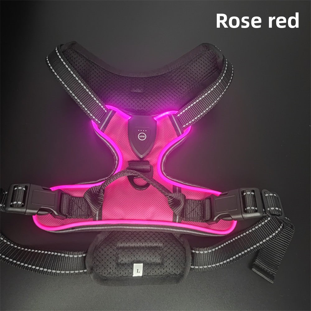 Chaleco LED Ajustable para Mascotas – Alta Visibilidad para Paseos Nocturnos