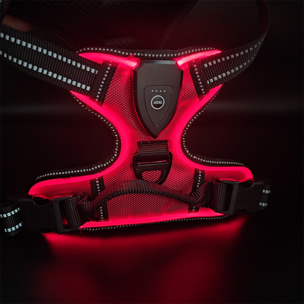 Chaleco LED Ajustable para Mascotas – Alta Visibilidad para Paseos Nocturnos